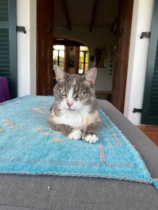 Little One, a pet we cared for