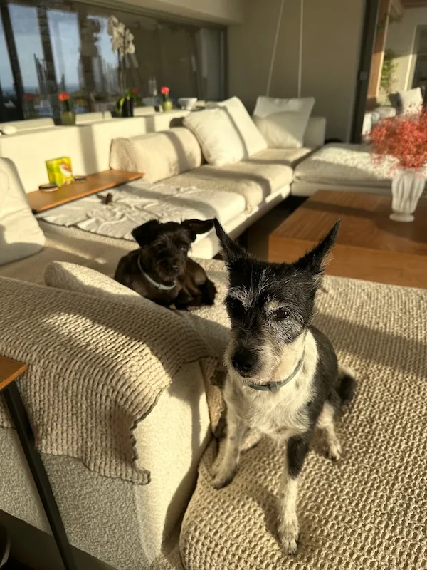 Fifi & Melenia, a pet we cared for