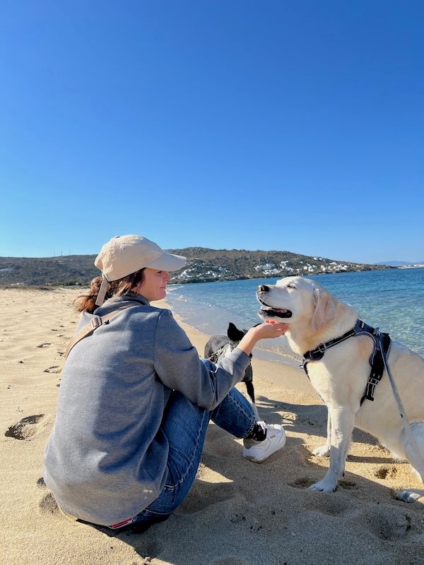 Daisy on a beach in Naxos