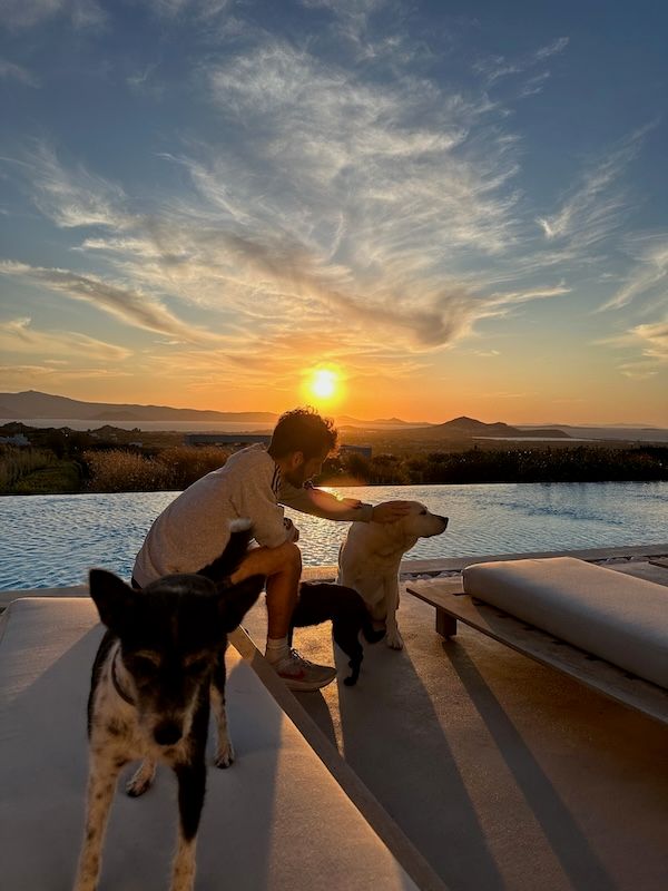 Pets in the sun in Naxos