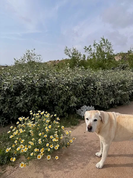 Walk in the property