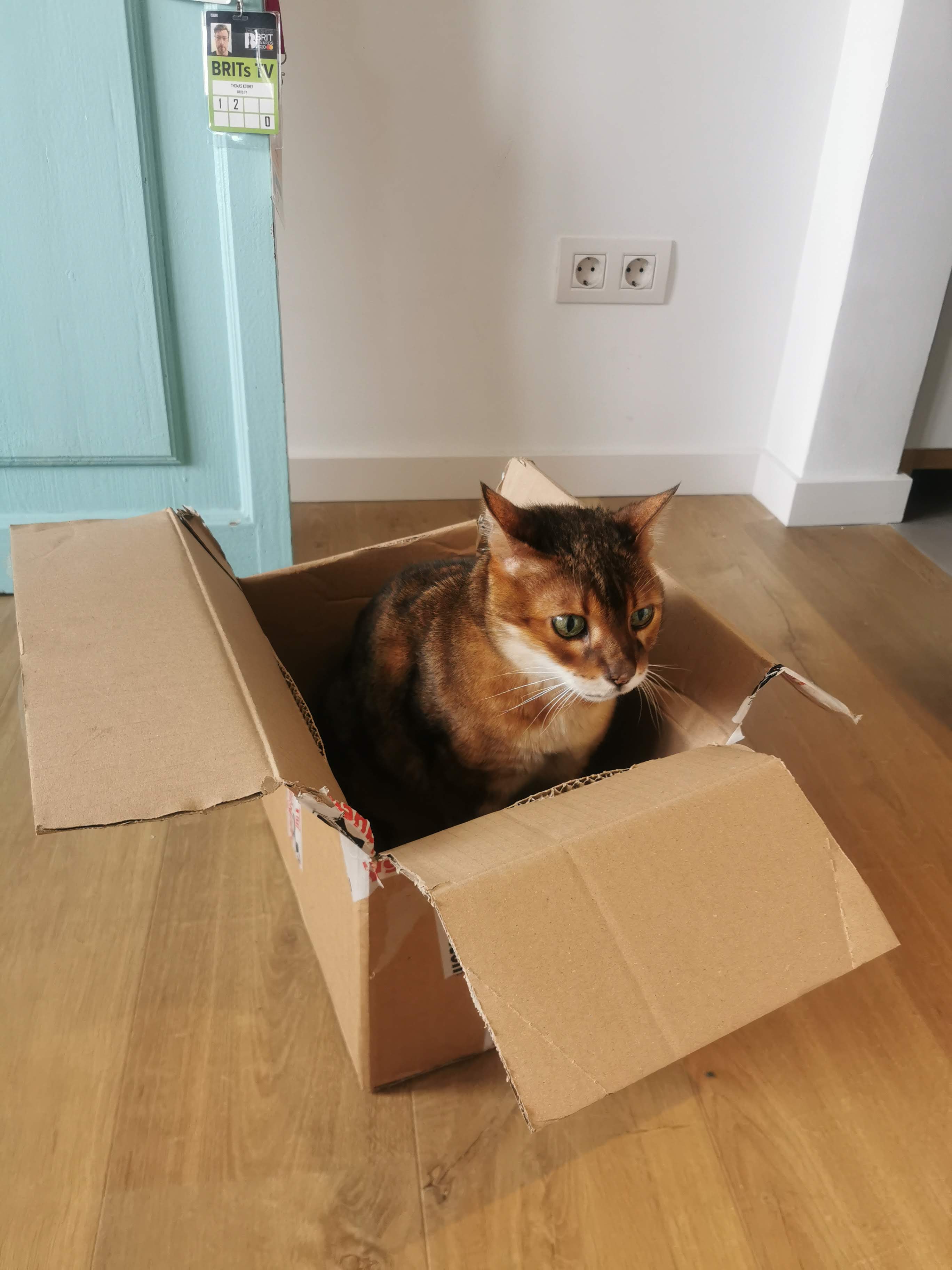 Ryan playing in a box