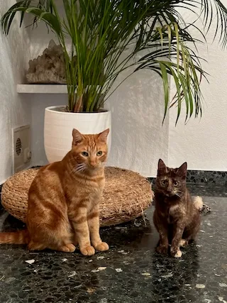 Phoenix and Phoebe